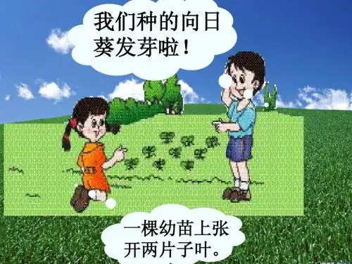 二年级数学上册 2、3、4的乘法口诀课件 人教版