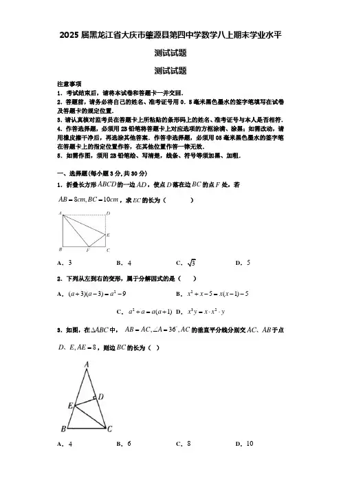 2025届黑龙江省大庆市肇源县第四中学数学八上期末学业水平测试试题含解析
