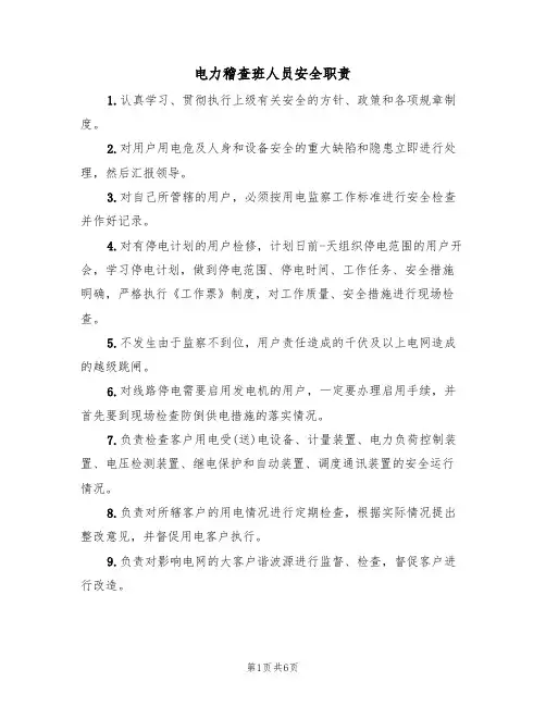电力稽查班人员安全职责（5篇）