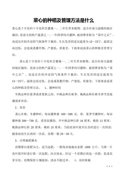 菜心的种植及管理方法是什么