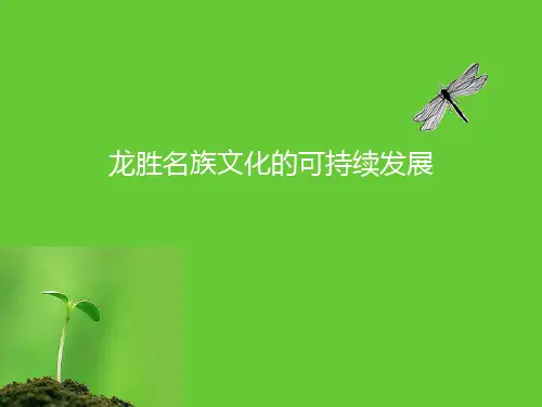 【精选】龙胜旅游文化可持续发展案例分析