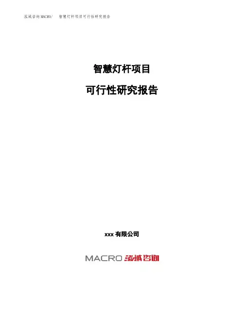 (投资参考建议模板)智慧灯杆项目可行性研究报告
