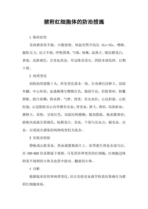 猪附红细胞体防治措施
