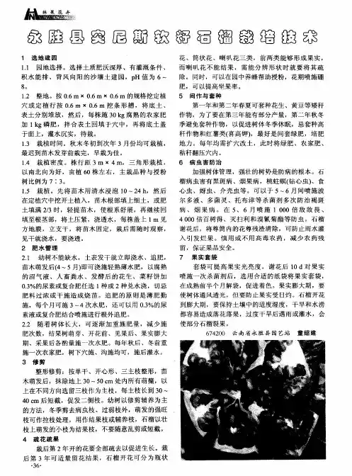 永胜县突尼斯软籽石榴栽培技术