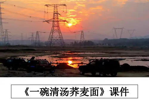 最新《一碗清汤荞麦面》课件课件PPT