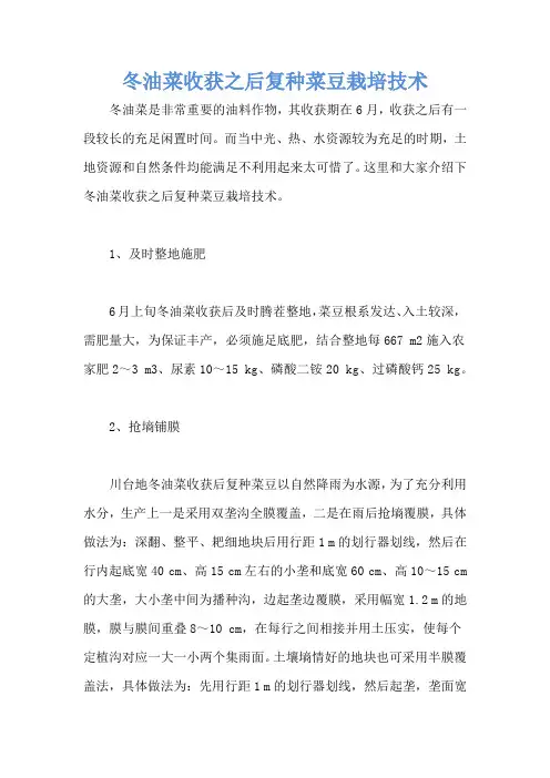 冬油菜收获之后复种菜豆栽培技术