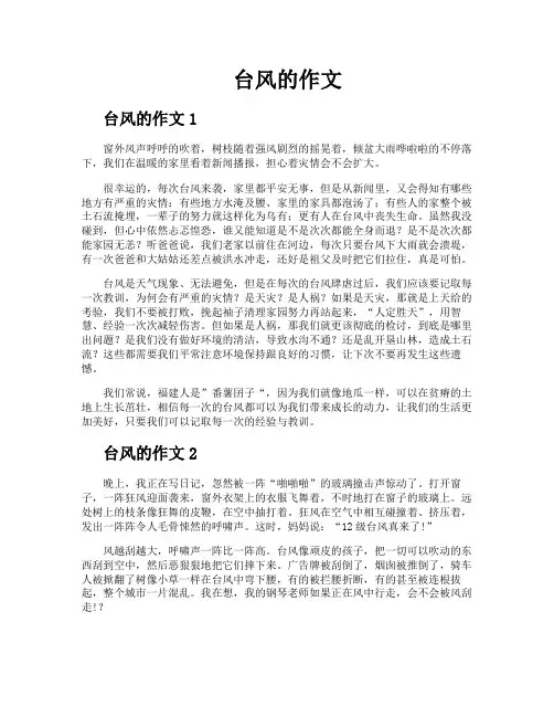 台风的作文