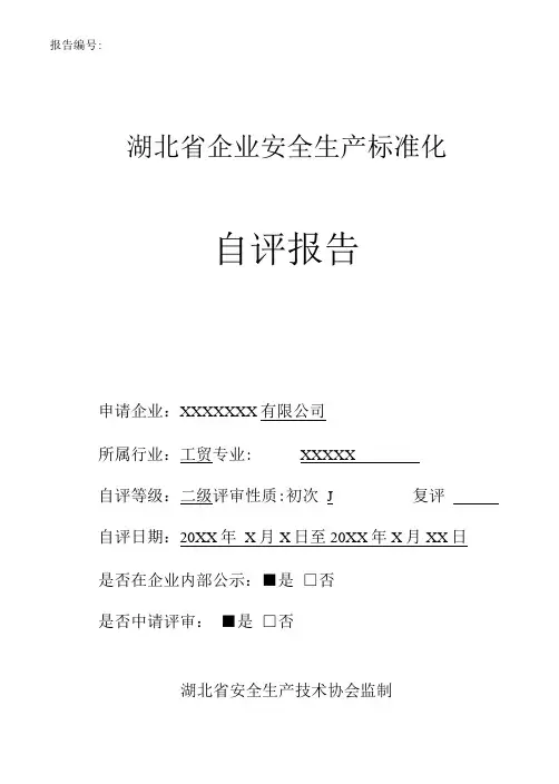 某xx知名公司标准化(二级)自评报告