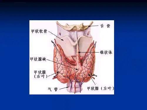 甲状腺功能亢进ppt课件