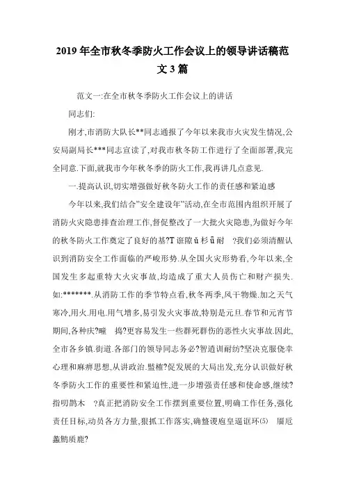 2019年全市秋冬季防火工作会议上的领导讲话稿范文3篇