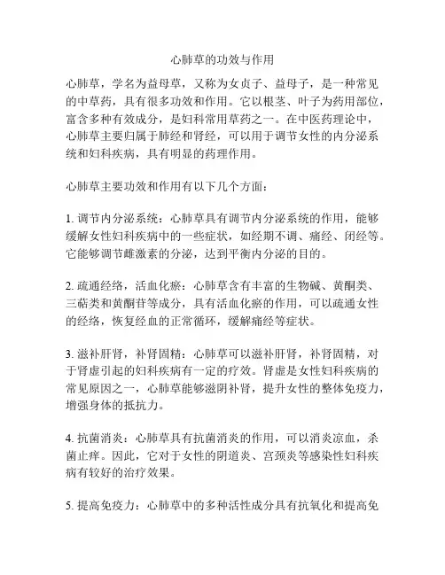 心肺草的功效与作用