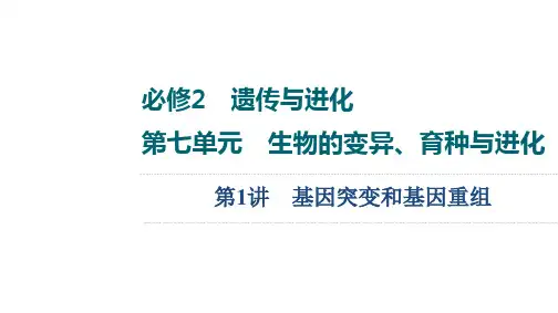 高考生物复习课件 第7单元 第1讲 基因突变和基因重组