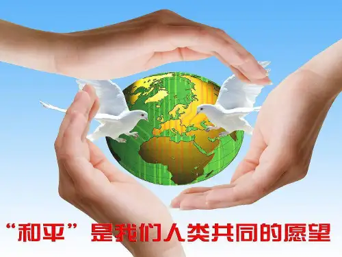 2014中考专题---战争启示录-23页文档资料