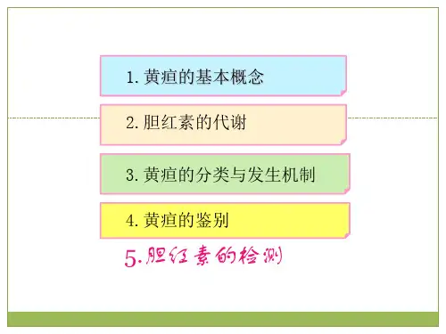 血清胆红素ppt课件.ppt