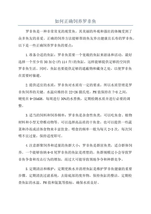 如何正确饲养罗非鱼