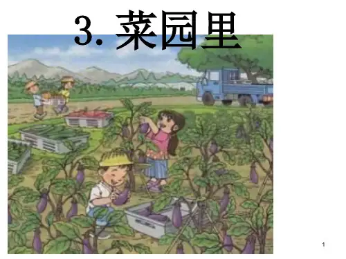 新人教部编版一年级语文上册课件 《菜园里》