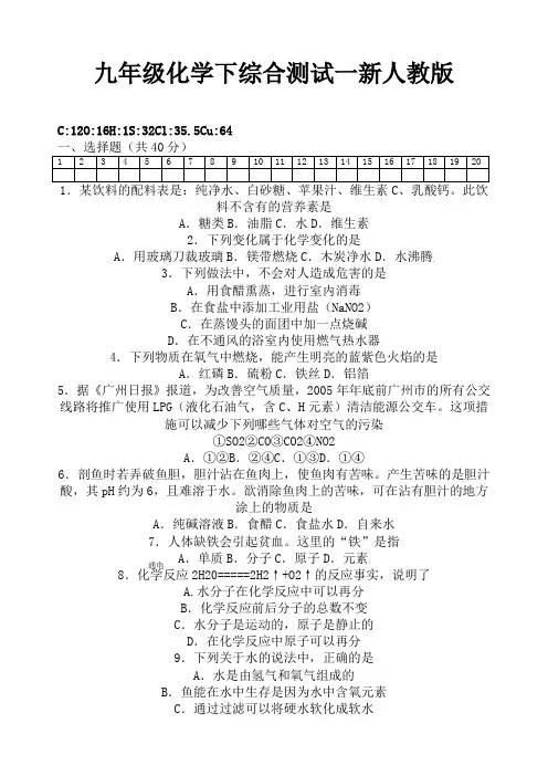九年级化学下综合测试一新人教版