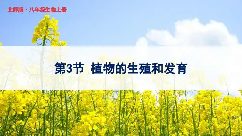《植物的生殖方式》PPT课件 北师版生物