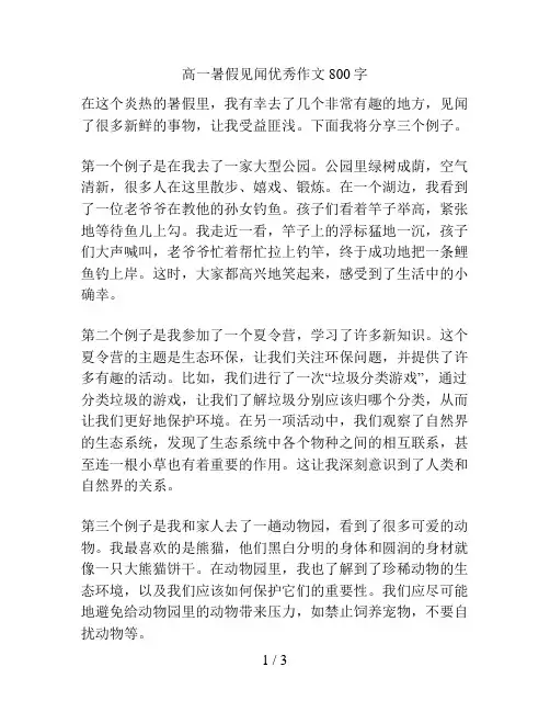 高一暑假见闻优秀作文800字
