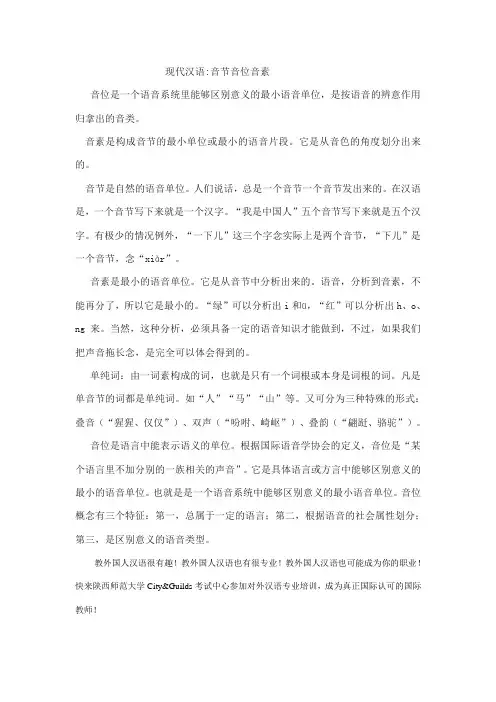 现代汉语音节音位音素资料讲解