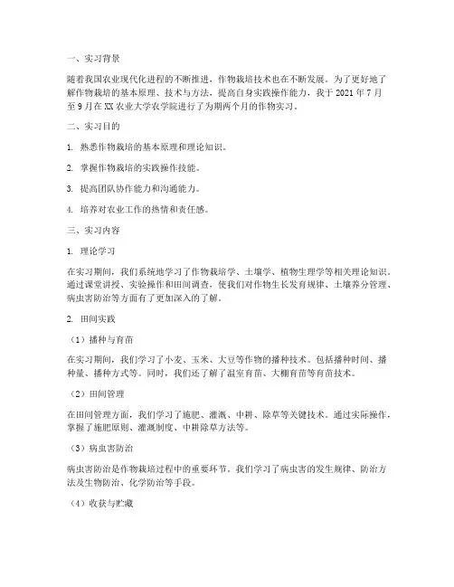 作物实习报告