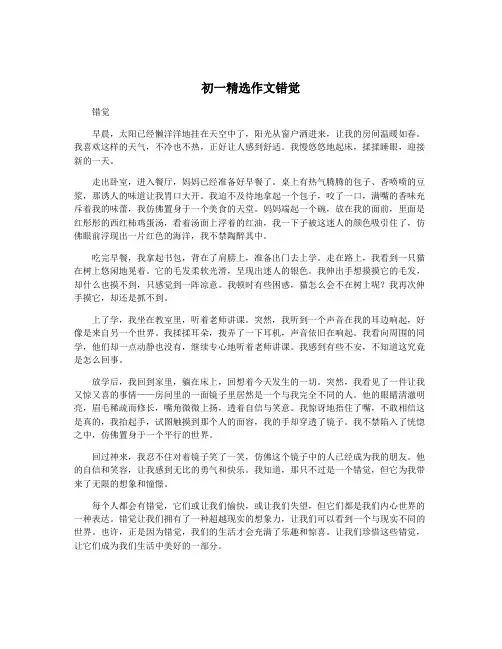 初一精选作文错觉