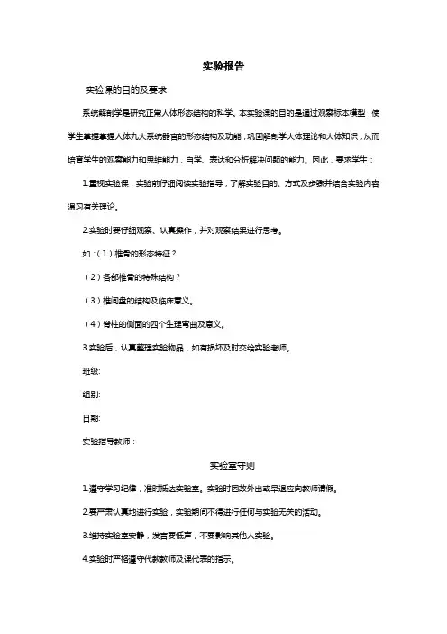 牛解剖学实验报告指导