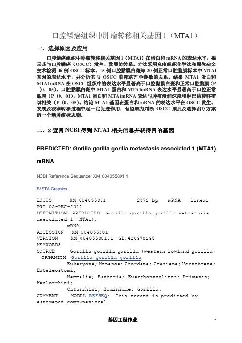基因工程作业(引物设计)讲解