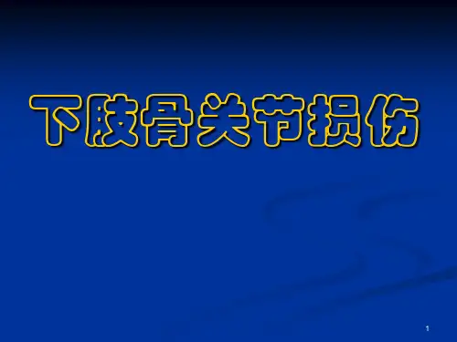 外科学下肢骨关节损伤PPT课件