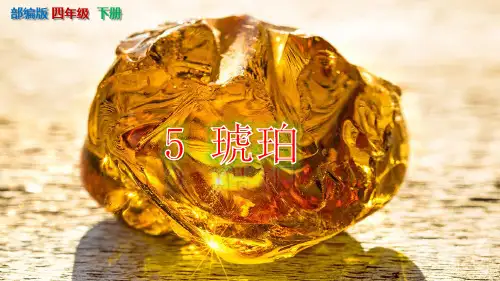 【统编本】《琥珀》PPT课件-六年级下册第5课