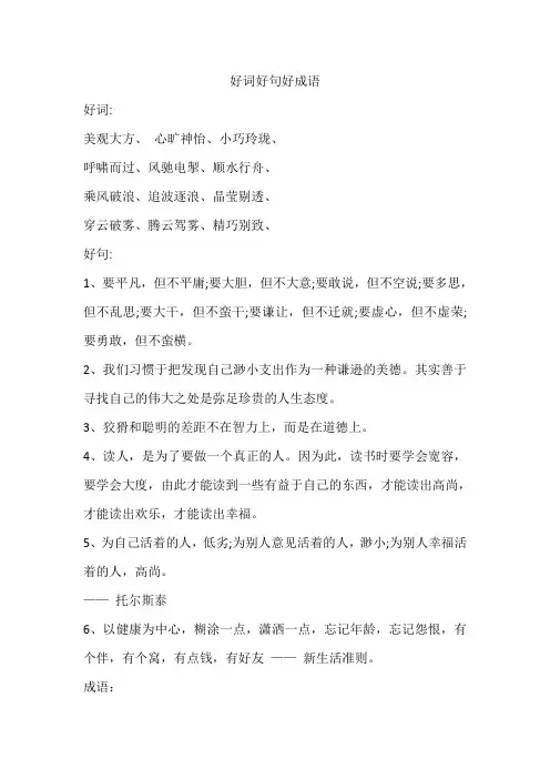 好词好句好成语