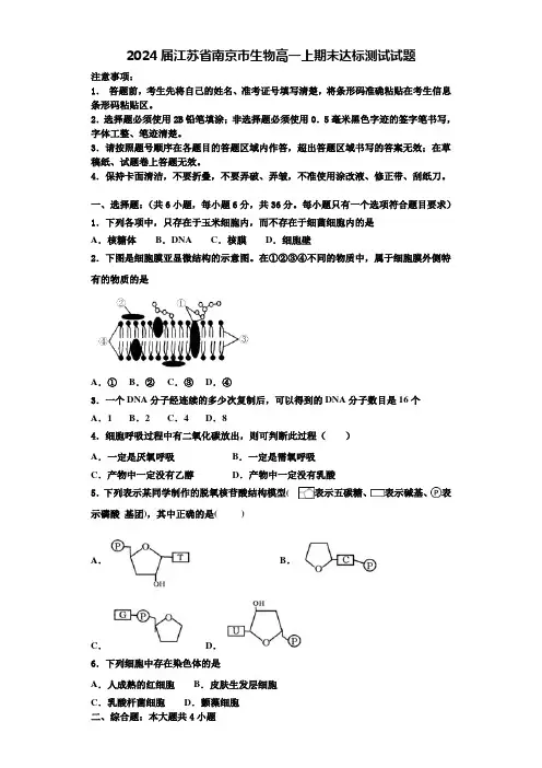 2024届江苏省南京市生物高一上期末达标测试试题含解析