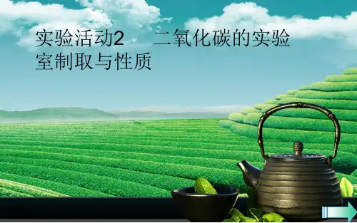 人教版九年级化学上册：第六单元 实验活动2 二氧化碳的实验室制取和性质(共15张PPT)