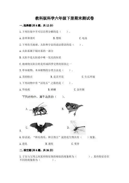 教科版科学六年级下册期末测试卷及答案(真题汇编)