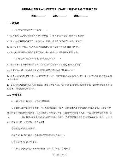 哈尔滨市2020年(春秋版)七年级上学期期末语文试题C卷