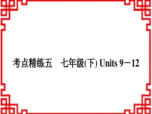 中考英语 教材系统复习考点精练五 七年级(下) Units 9-12