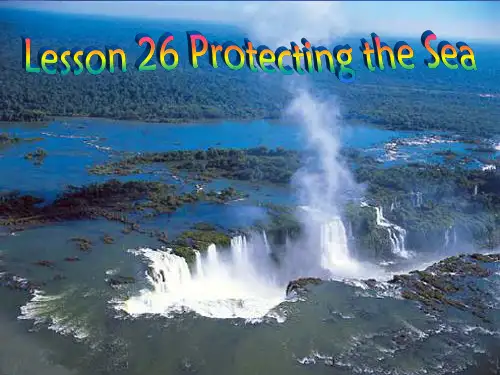 英语Unit 7 Lesson2 protecting the sea课件 (北师大版模块3)