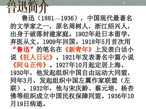 呐喊各篇人物及主题介绍PPT课件
