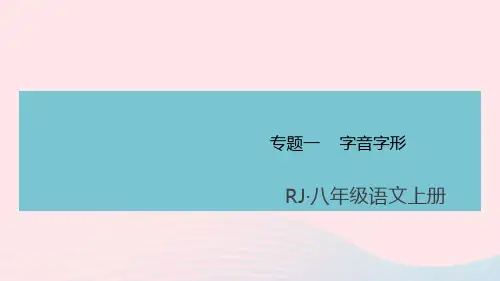 人教版八年级语文上册同步教学：期末专题1 字音字形