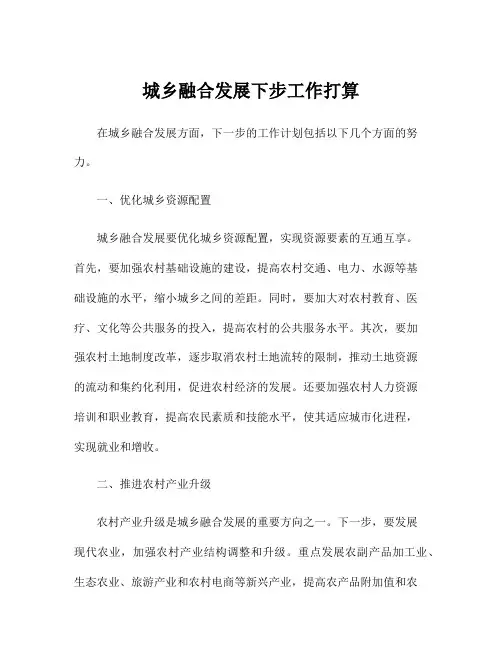 城乡融合发展下步工作打算