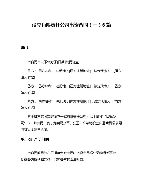 设立有限责任公司出资合同(一)6篇