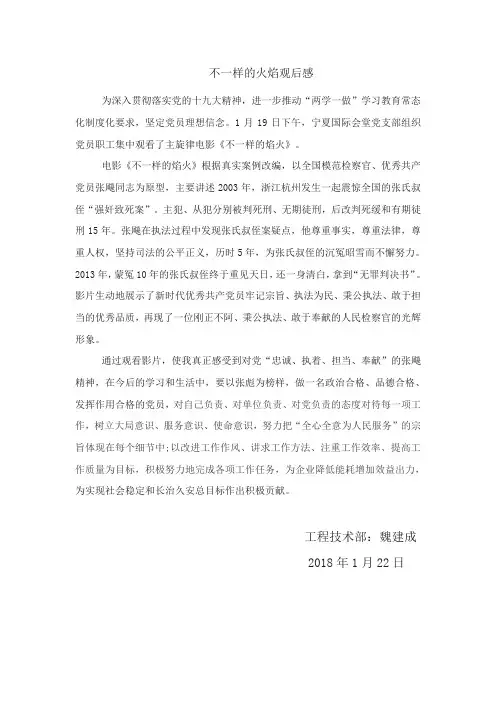 不一样的火焰观后感