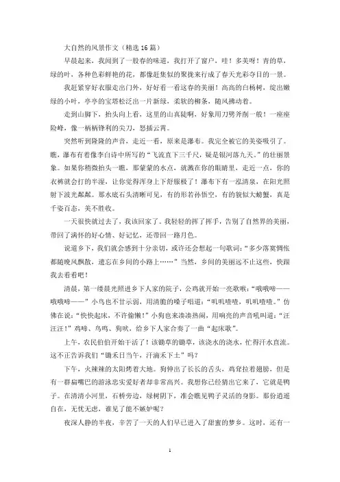大自然的风景作文(精选)