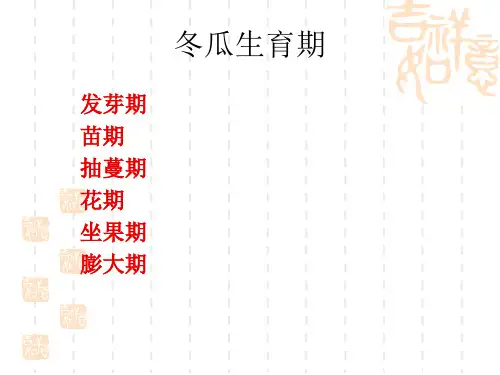 冬瓜主要病害防治PPT课件