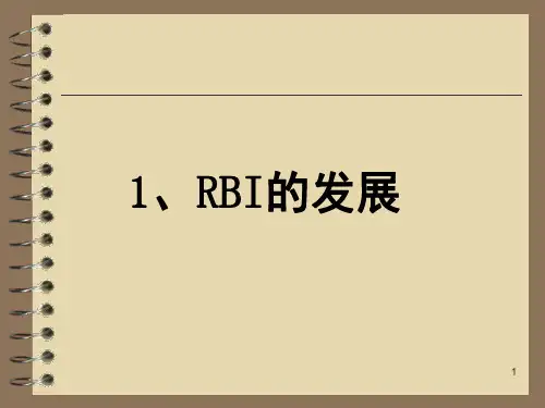 RBI基本知识PPT幻灯片课件