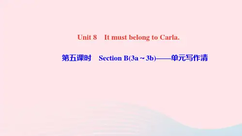 九年级英语全册Unit8ItmustbelongtoCarla第五课时SectionB3a_3b单元写作清课件新版人教新目标版