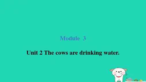 六年级下册Module3Unit2Thecowsaredrinkingwater外研版三起