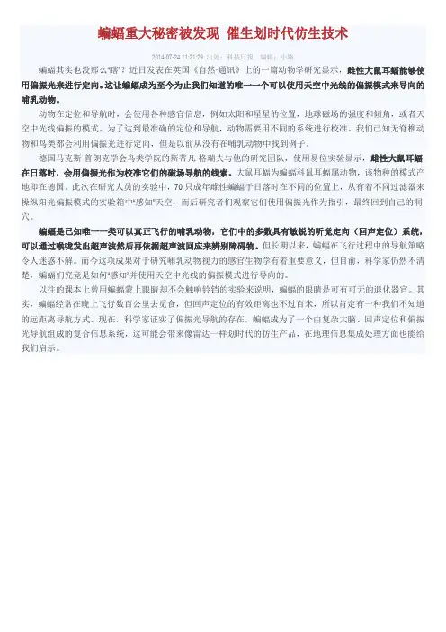 蝙蝠重大秘密被发现 催生划时代仿生技术