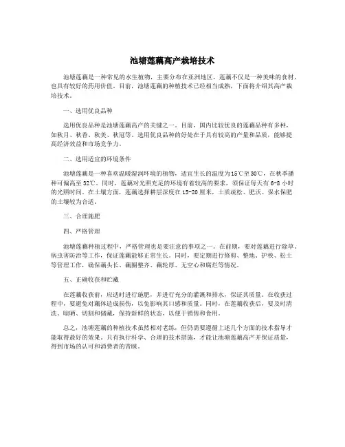 池塘莲藕高产栽培技术