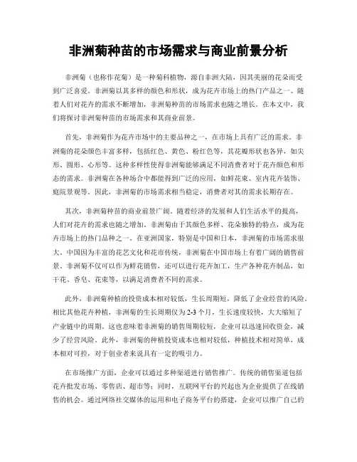 非洲菊种苗的市场需求与商业前景分析